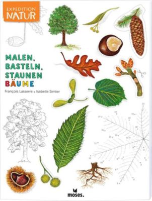 Buch - Expedition Natur: Malen, Basteln, Staunen: Bume