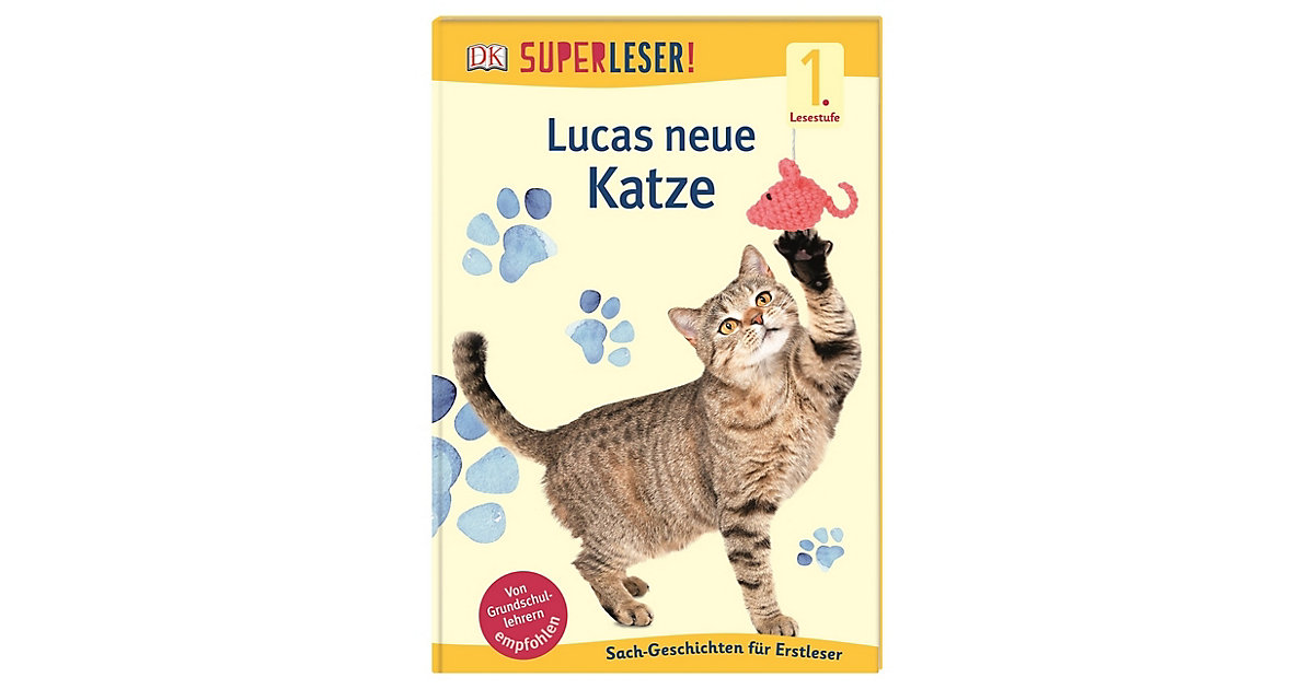 Buch - SUPERLESER! Lucas neue Katze, 1. Lesestufe