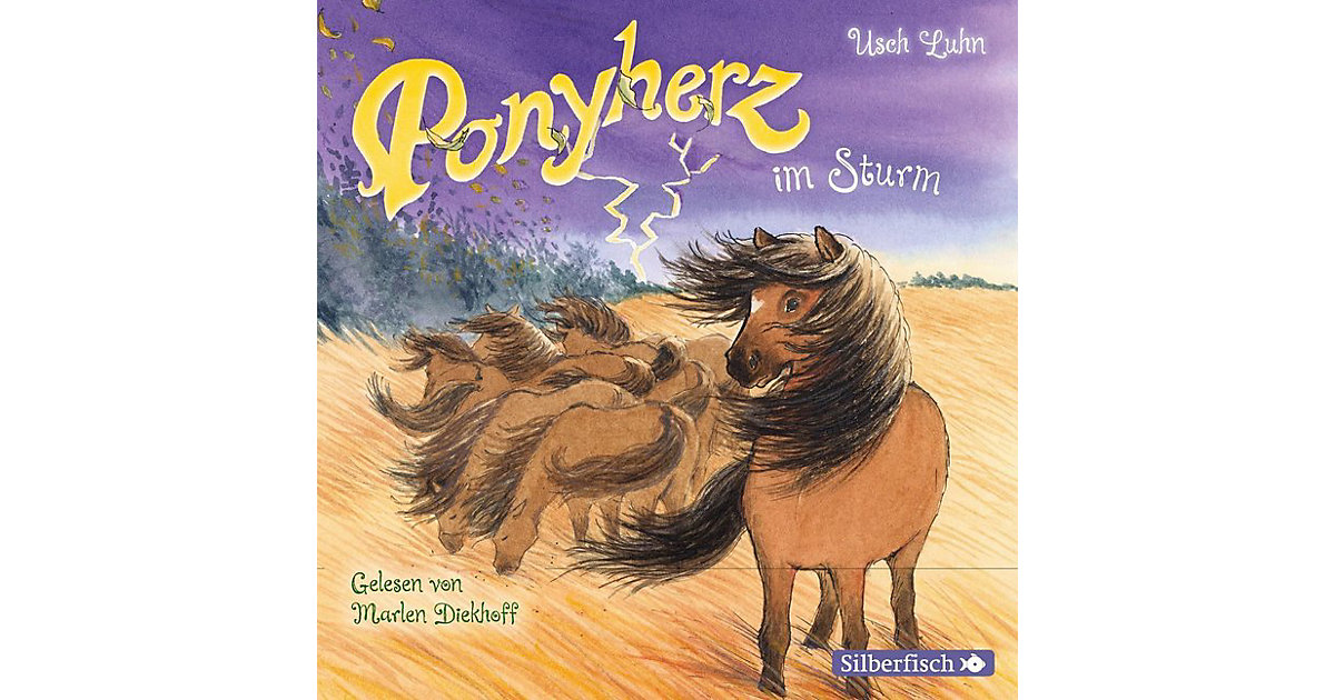 Ponyherz: Ponyherz im Sturm, 1 Audio-CD Hörbuch