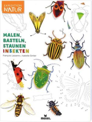 Buch - Expedition Natur: Malen, Basteln, Staunen: Insekten