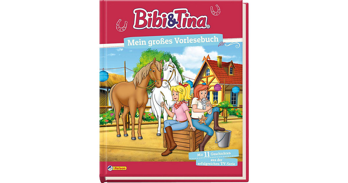 Buch - Bibi und Tina: Mein großes Vorlesebuch