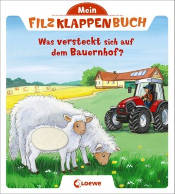 Buch - Mein Filzklappenbuch: Was versteckt sich auf dem Bauernhof?