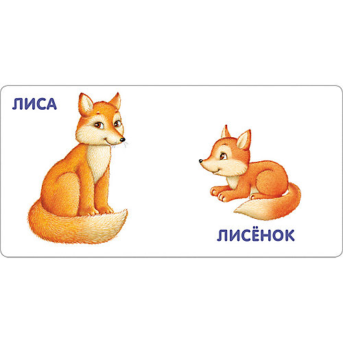 Книжка-картонка "Животные и детёныши" от Робинс