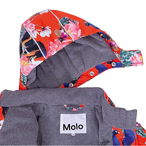 Утеплённая куртка Molo - разноцветный от Molo