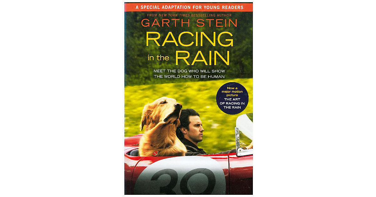 Buch - Racing in the Rain Movie Tie-In Edition