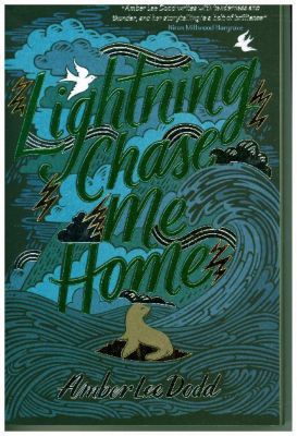 Buch - Lightning Chase Me Home