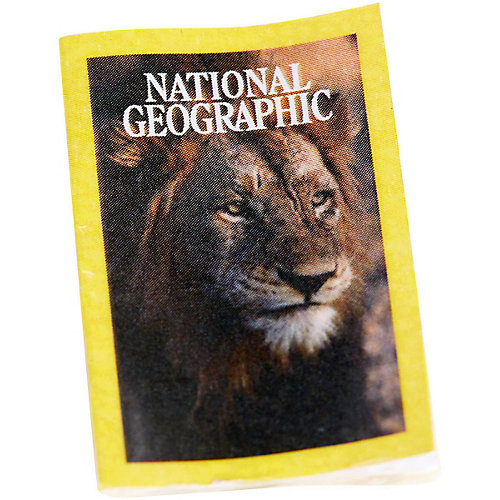 Кукла Barbie "Кем быть?" National Geographic Фотожурналист от Mattel
