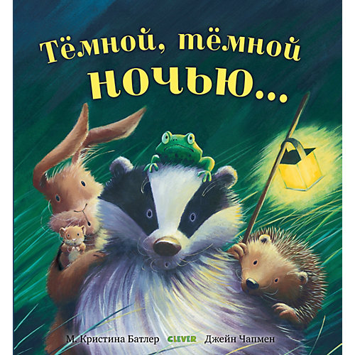 Книжка-картинки "Тёмной, тёмной ночью", Батлер К. от Clever