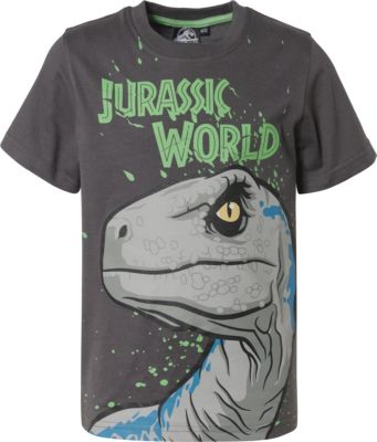 Jurassic World T Shirt Für Jungen Jurassic World Mytoys 8245