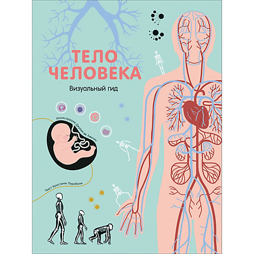 Энциклопедия "Тело человека. Визуальный гид", Перабони К. от Росмэн
