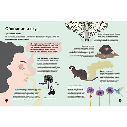 Энциклопедия "Тело человека. Визуальный гид", Перабони К. от Росмэн