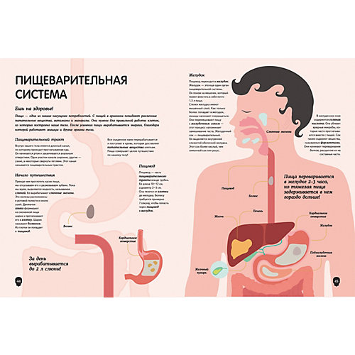 Энциклопедия "Тело человека. Визуальный гид", Перабони К. от Росмэн