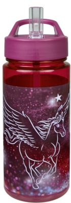 Aero Sport-Trinkflasche Pegasus, 500 ml