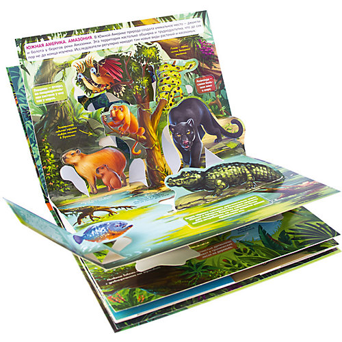 POP UP энциклопедия Malamalama Живая планета. Джунгли : книжка-панорамка от Malamalama