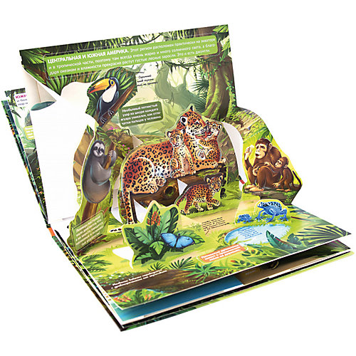 POP UP энциклопедия Malamalama Живая планета. Джунгли : книжка-панорамка от Malamalama