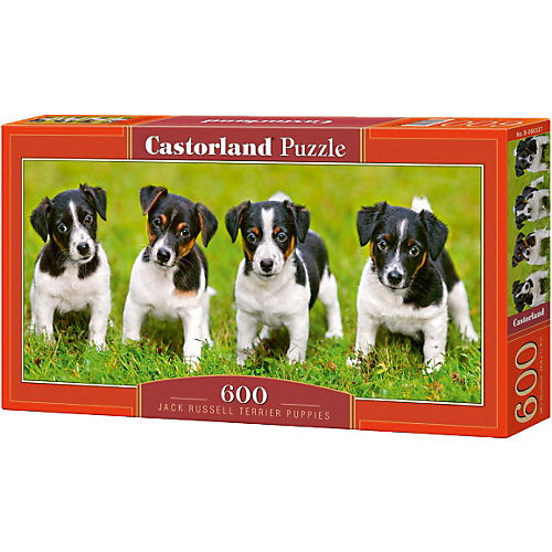 Пазл Castorland "Щенки джек рассел терьер", 600 деталей от Castorland
