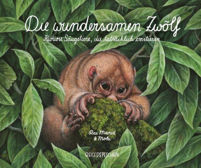 Buch - Die wundersamen Zwlf