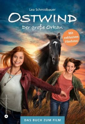 Image of Buch - Ostwind: Der große Orkan