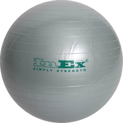 Мяч гимнастический INEX 65 см