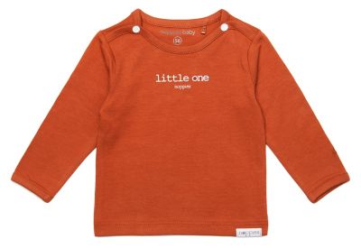 Kite Baby-Jungen Ice Animals T-Shirt Langarmshirt