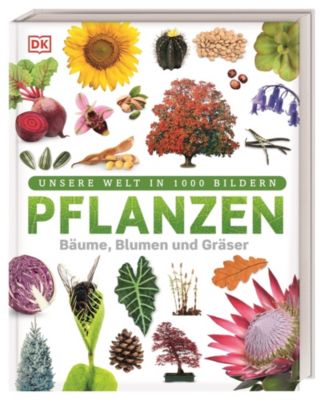 Image of Buch - Pflanzen