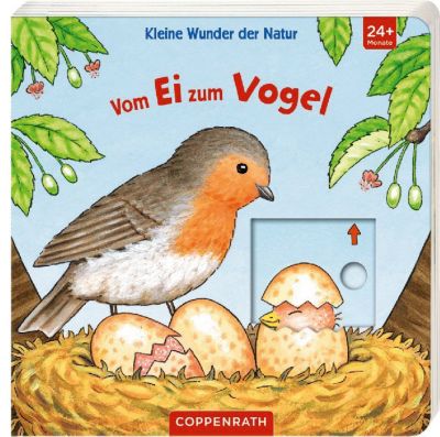 Kleine Wunder Der Natur Vom Ei Zum Vogel Coppenrath Verlag Mytoys