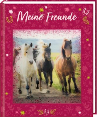 Image of Buch - Freundebuch - Pferdefreunde - Meine Freunde