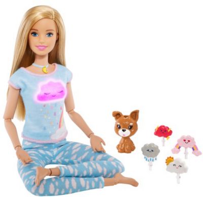 Barbie Wellness Meditations Puppe Hündchen Zubehör Spielset Mattel NEU B-Ware 