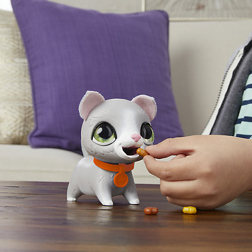 Интерактивная игрушка FurReal Friends "Шаловливый питомец" Котёнок, маленький от Hasbro