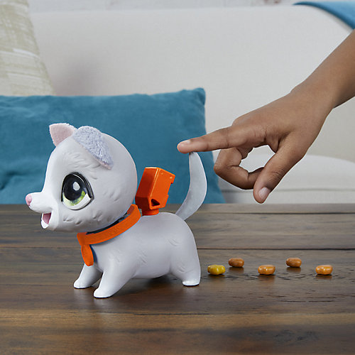 Интерактивная игрушка FurReal Friends "Шаловливый питомец" Котёнок, маленький от Hasbro