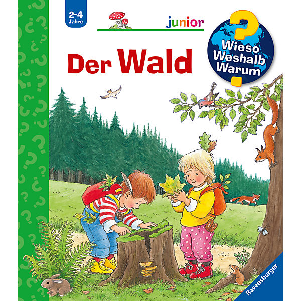 WWW junior Der Wald