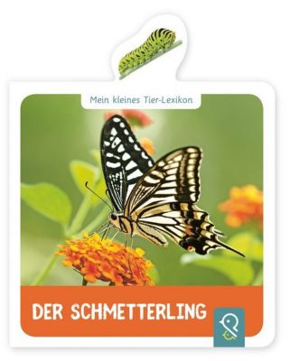 Image of Buch - Mein kleines Tier-Lexikon: Der Schmetterling