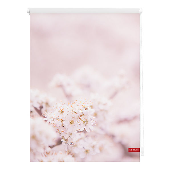 Rollo Klemmfix, ohne Bohren, blickdicht, Kirschblüten - Rosa Weiß