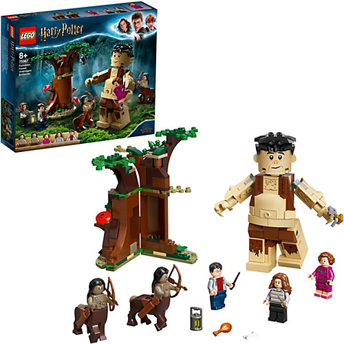Конструктор LEGO Harry Potter 75967: Запретный лес: Грохх и Долорес Амбридж от LEGO