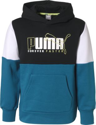 puma teddy bear hoodie