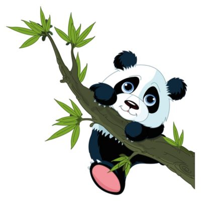 Wandtattoo Panda Bar Als Tierbaby Mit Bambus Zweig Wandtattoos Dekodino Mytoys