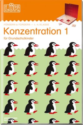 LÜK: Konzentration 1, Übungsheft
