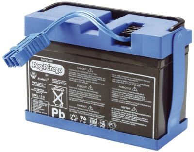Ersatzbatterie für PEG PEREGO Kinder Elektrofahrzeug POLARIS SLINGSHOT 12V 7Ah 