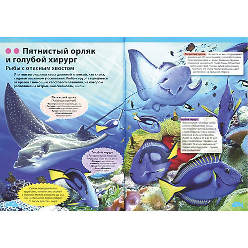 Подводный мир. Большая детская энциклопедия от Владис