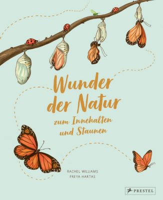 Image of Buch - Wunder der Natur zum Innehalten und Staunen