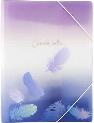 Папка на резинках Axent Colourful Feather 03, А4