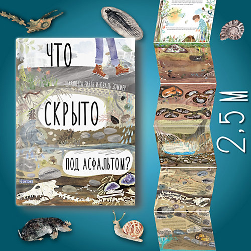 Комплект книг-раскладушек "Что скрыто под асфальтом? Что скрыто за облаками?" от Издательство Контэнт