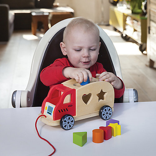 Сортер New Classic Toys от New Classic Toys