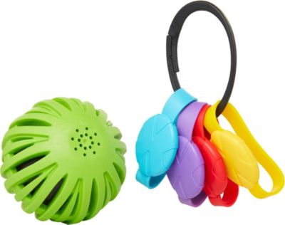 Jakks Pacific Color Catch Countdown Fangspiel