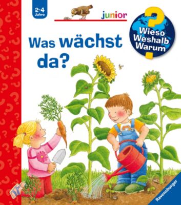 Image of Buch - WWW junior Was wächst da?