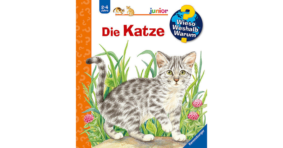 Buch - WWW junior Die Katze