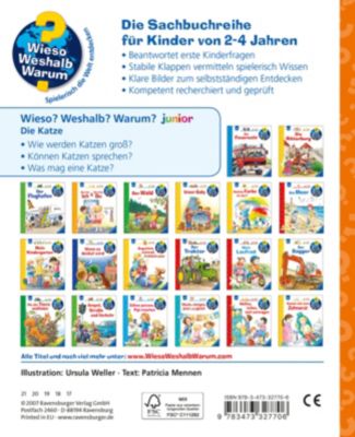 WWW junior Die Katze 2