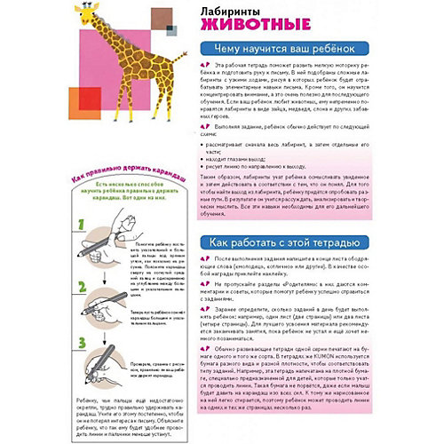 Лабиринты Kumon "Животные" от Манн, Иванов и Фербер