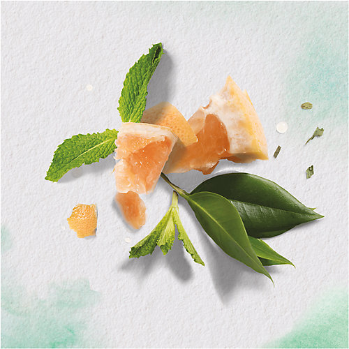 Бальзам-ополаскиватель Herbal Essences Белый грейпфрут и мята 275 мл