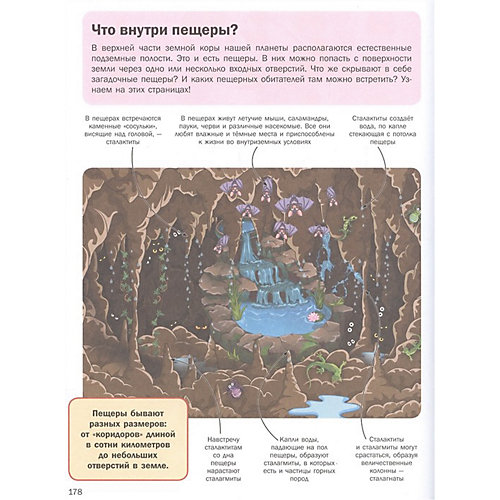 5000 Что? Зачем? Почему? В картинках, которые можно рассматривать целый год от Издательство АСТ